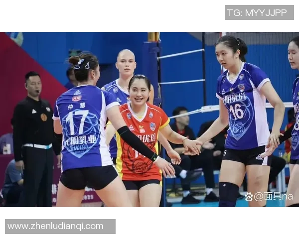 上海排球队的转型之路：从传统强队到现代化竞技新标杆